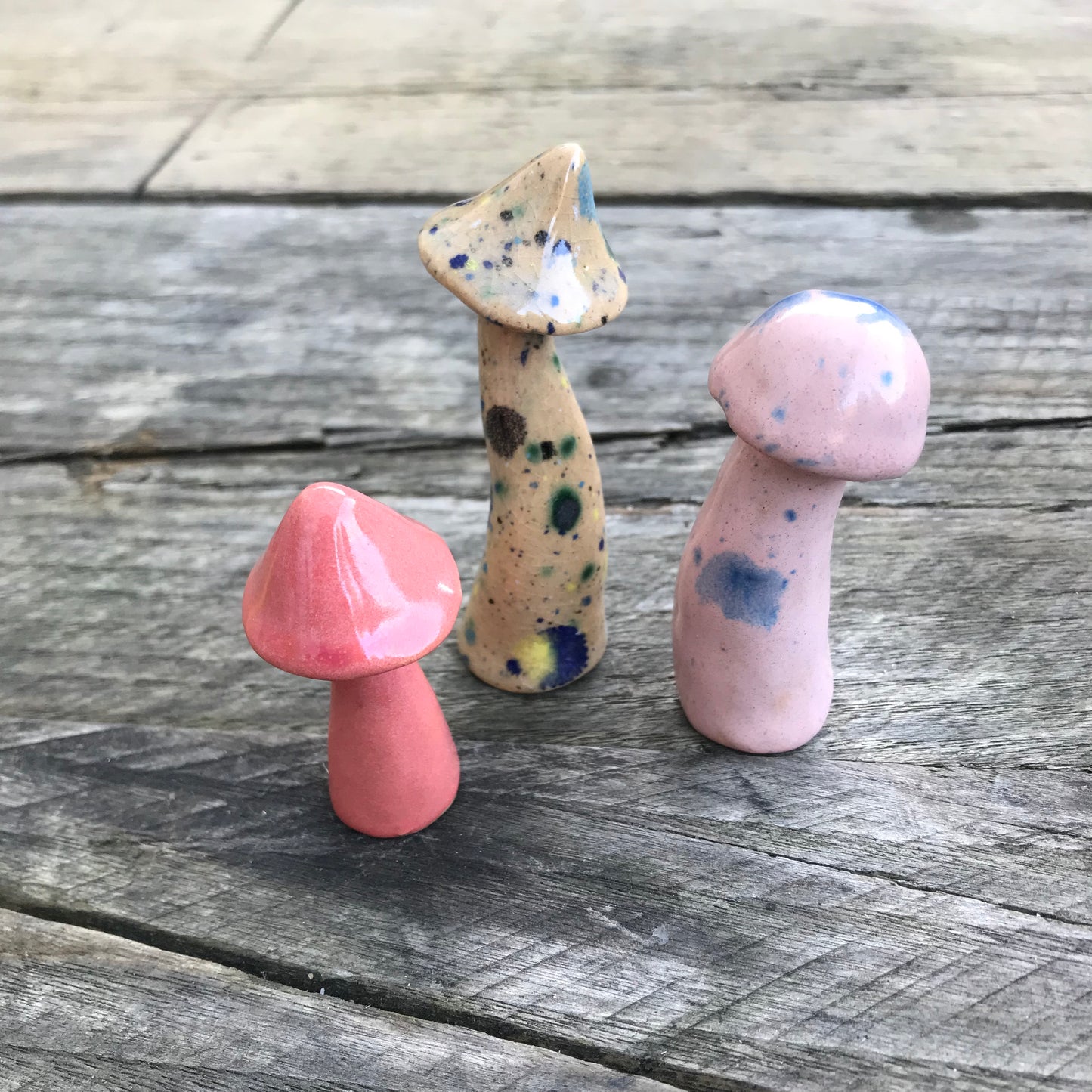 Ceramic mushrooms - Assorted pack of x3